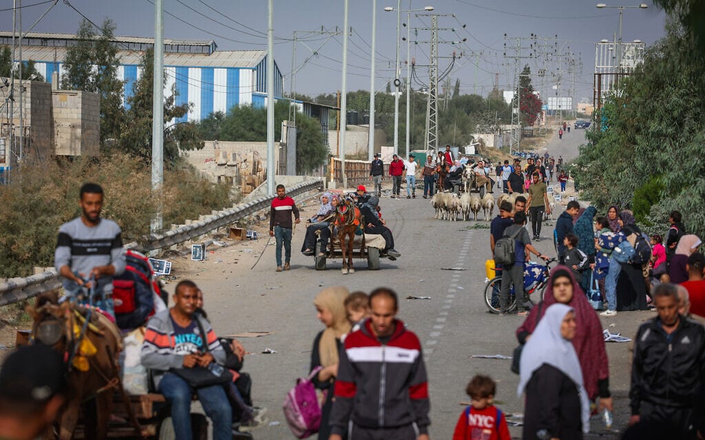 פלסטינים, שנמלטו מבתיהם בעיר עזה, נודדים לדרום הרצועה, 11 בנובמבר 2023 (צילום: Atia Mohammed / Flash 90)