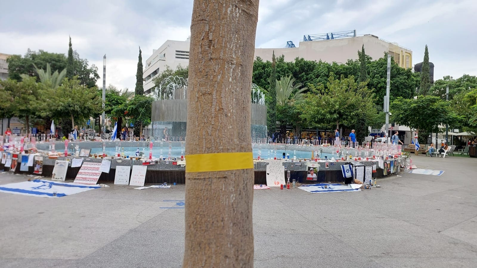 סרט צהוב על עץ בכיכר דיזנגוף, תל אביב (צילום: עומר שרביט)