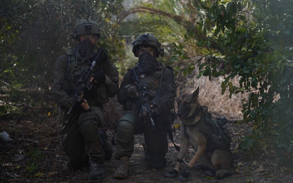 חיילי צה"ל לצד כלב בפעילות ברצועת עזה. 22 בנובמבר 2023 (צילום: דובר צה״ל) חיילי צה"ל לצד כלב בפעילות ברצועת עזה. 22 בנובמבר 2023 (צילום: דובר צה״ל)