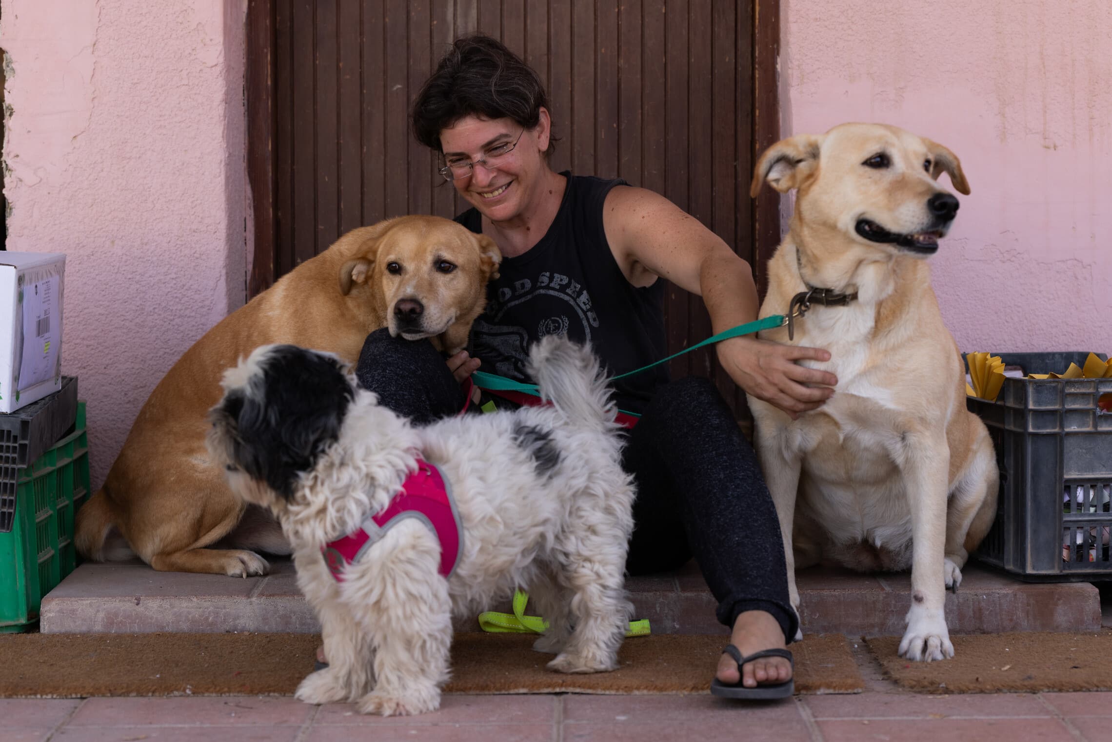 ליאורה האריס עם הכלבים בדירתה הזמנית במושב פארן, נובמבר 2023 (צילום: דפנה טלמון)