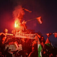מפגינים פרו־פלסטינים בפריז דורשים הפסקת אש מיידית בעזה, 11 בנובמבר 2023 (צילום: Dimitar DILKOFF / AFP)