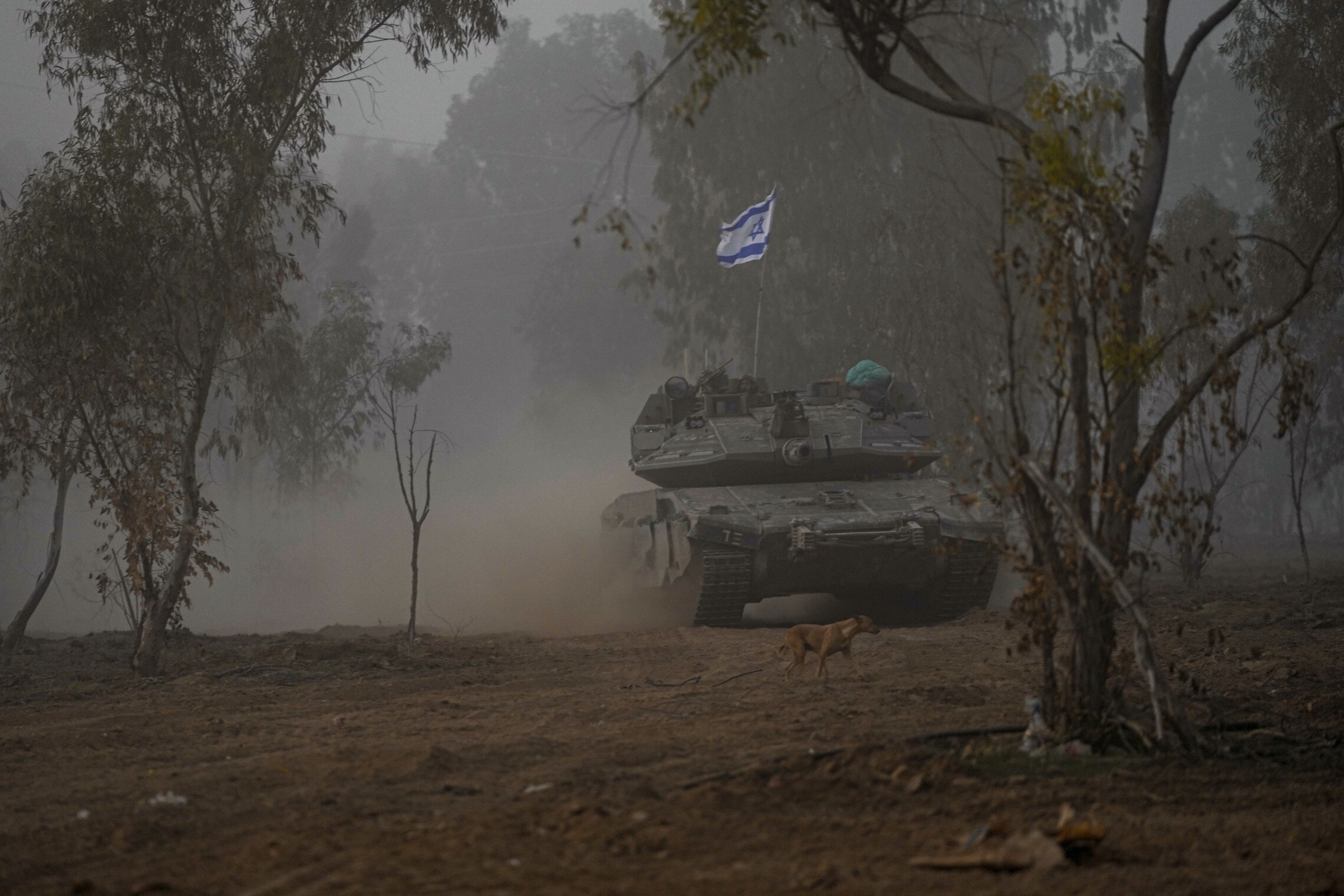 טנק ישראל באזור גבול עזה, 11 בדצמבר 2023 (צילום: AP Photo/Ohad Zwigenberg)