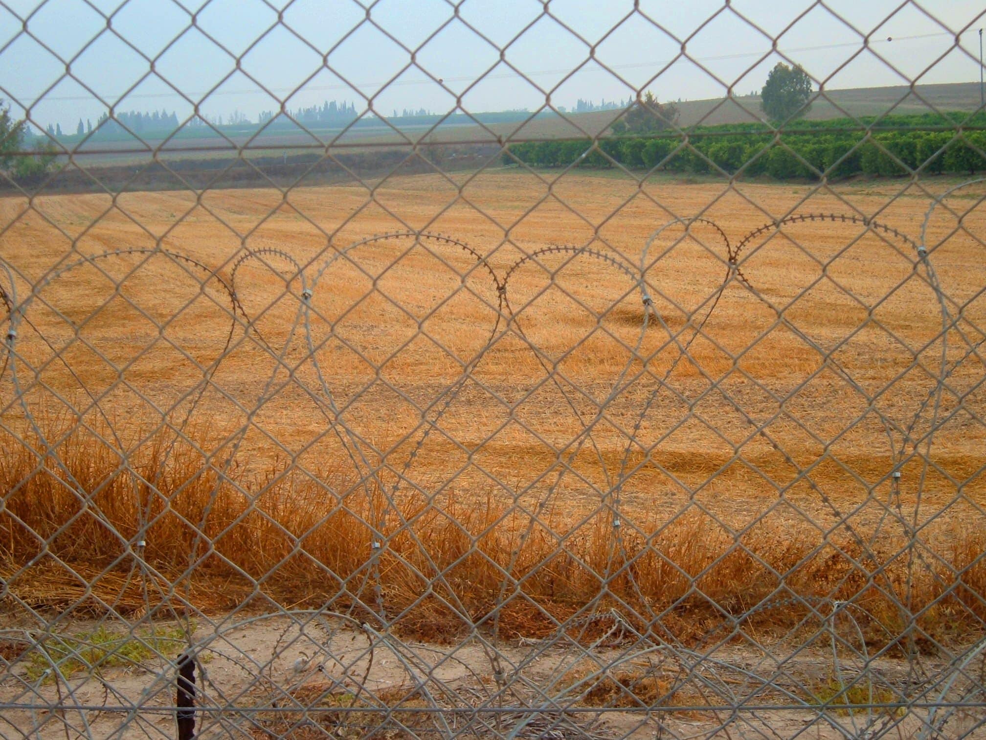 שדה ליד גדר המערכת בקיבוץ מפלסים (צילום: מרכז להב&quot;ה נתיבות, הילה שי, מתוך אתר פיקיויקי)