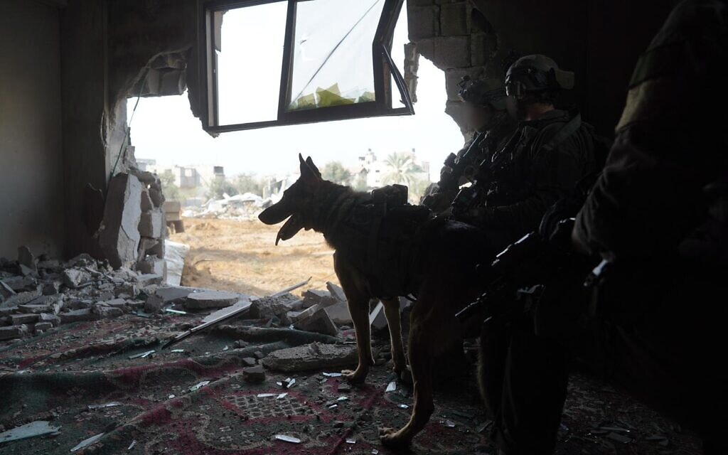 כלב עוקץ עם כוחות צה"ל בלחימה בחאן יונס, רצועת עזה, 22 בדצמבר 2023 (צילום: דובר צה"ל)