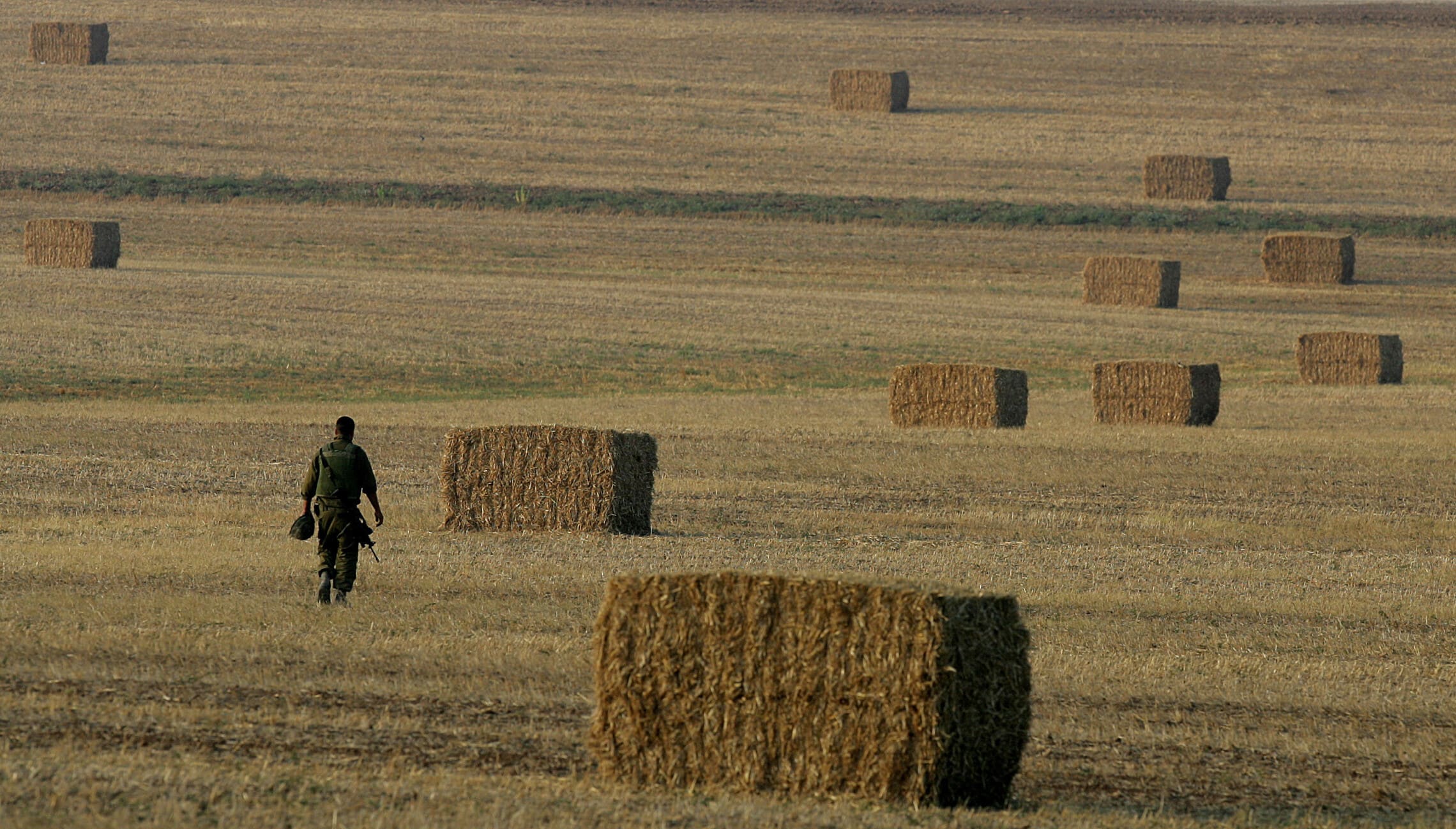 חייל בשדות התבואה ליד קיבוץ מפלסים (צילום: YOAV LEMMER / AFP)