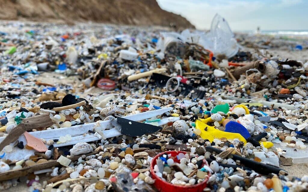 פסולת שנפלטה לחוף גדור אחרי סערת גלים, ינואר 2024 (צילום: נגה גבריאלי, עמותת אקואושן)
