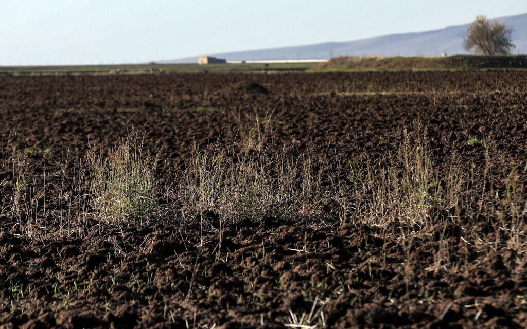 אדמה חקלאית בצפון סוריה, 14 בדצמבר 2023 (צילום: Delil souleiman / AFP)