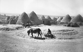 בניית בית בכפר סורי, 10 באוקטובר 1938 (צילום: AP)
