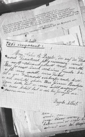 מכתבי עדויות בצרפתית לטובתו של קרל גונר (צילום: באדיבות בורקהארד בילגר)