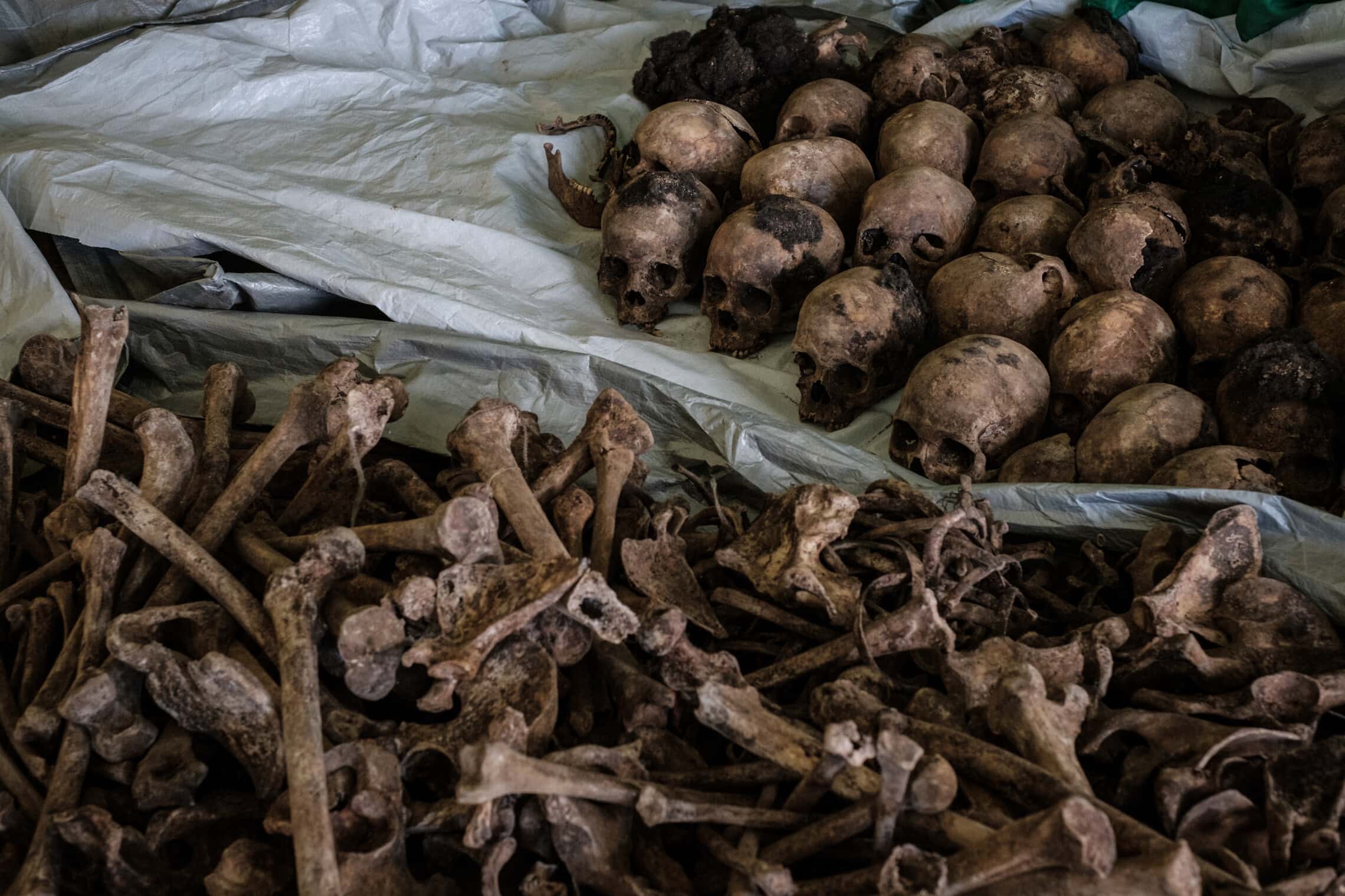 עצמות וגולגולות השייכות לקורבנות רצח העם ברואנדה ב־1994 נמצאו בקבר אחים ב־2018 (צילום: Yasuyoshi CHIBA / AFP)