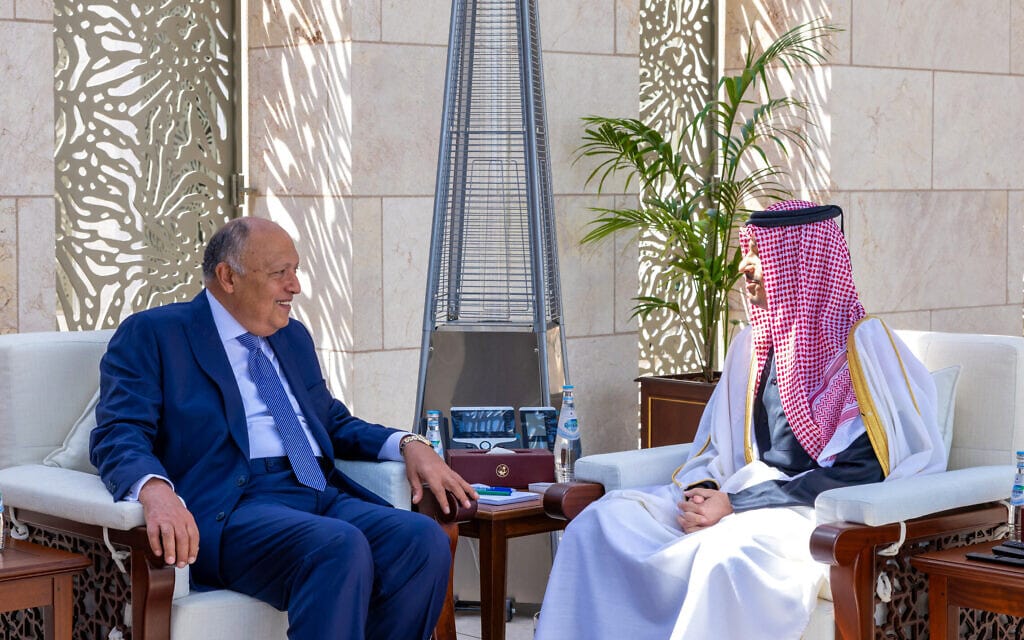 שר החוץ הקטארי מוחמד בן עבדולרחמן בן ג'סים אל-ת'אני נפגש עם מקבילו המצרי סאמח שוקרי בדוחה, מרץ 2024 (צילום: Qatar News Agency / AFP)