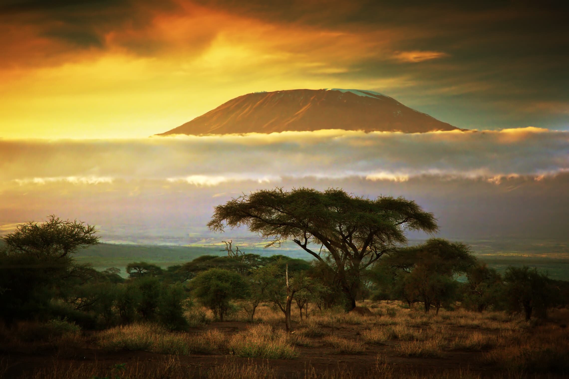 שקיעה בהר קילימנג&#039;רו, קניה, אפריקה (צילום: NiseriN, istock)