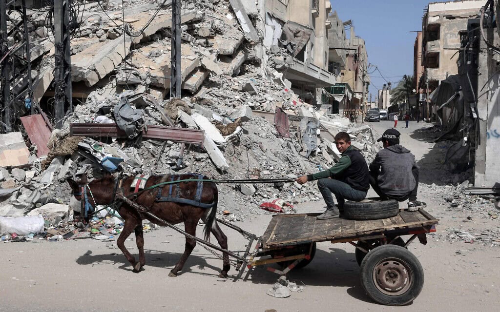 נערים פלסטינים נוסעים בעגלה רתומה לחמור ליד בניין שנהרס בהפצצה ישראלית ברפיח, דרום רצועת עזה, 31 במרץ 2024 (צילום: Mahmud Hams / AFP)