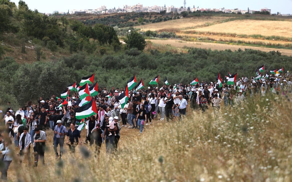 ערבים-ישראלים מפגינים ליד שפרעם עם דגלי פלסטין, 14 במאי 2024 (צילום: AHMAD GHARABLI / AFP)