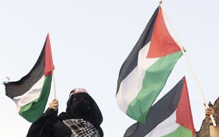 דגלי פלסטין בהפגנה פרו פלסטינית במקסיקו, מאי 2024 (צילום: Silvana FLORES / AFP)