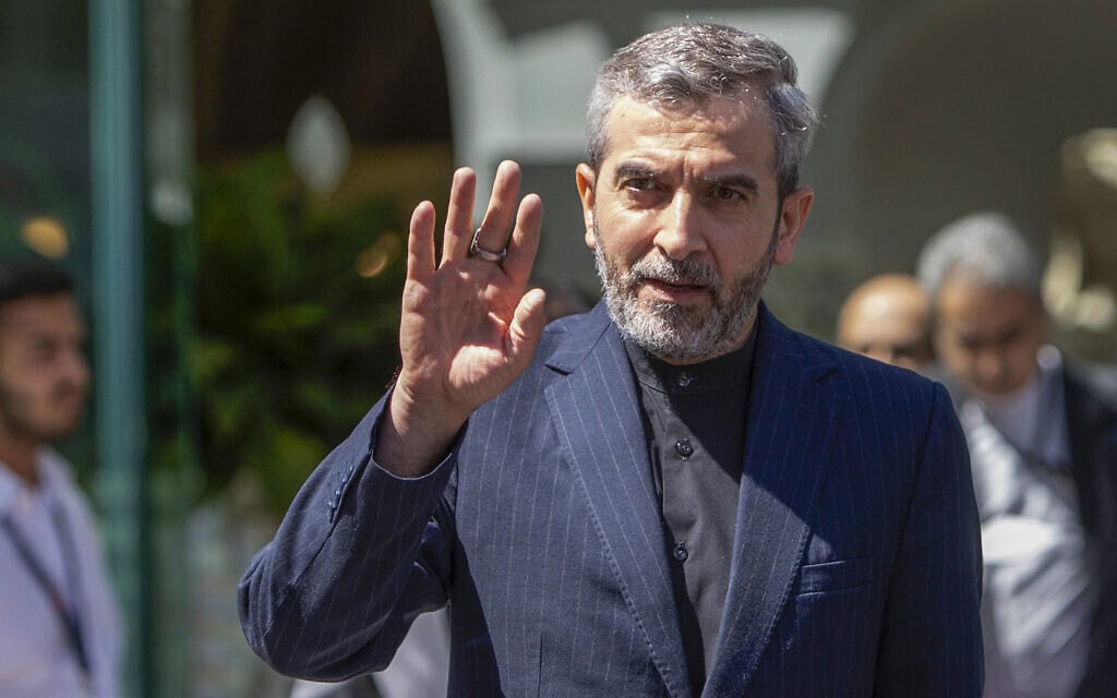 סגן שר החוץ של איראן עלי באקרי כני ב-2022 (צילום: Alex HALADA / AFP)