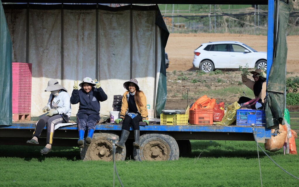 עובדים זרים עובדים בחקלאות סמוך לגבול ישראל עם רצועת עזה, דרום ישראל, במהלך מלחמת חרבות ברזל, 25 בדצמבר 2023 (צילום: Moshe Shai/Flash90)