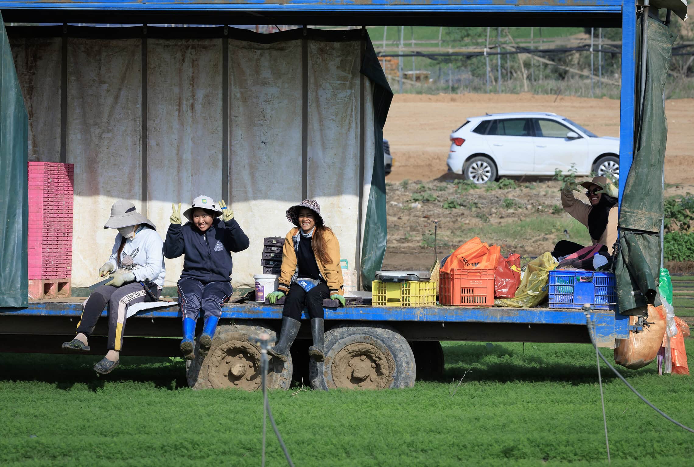 עובדים זרים עובדים בחקלאות סמוך לגבול ישראל עם רצועת עזה, דרום ישראל, במהלך מלחמת חרבות ברזל, 25 בדצמבר 2023 (צילום: Moshe Shai/Flash90)