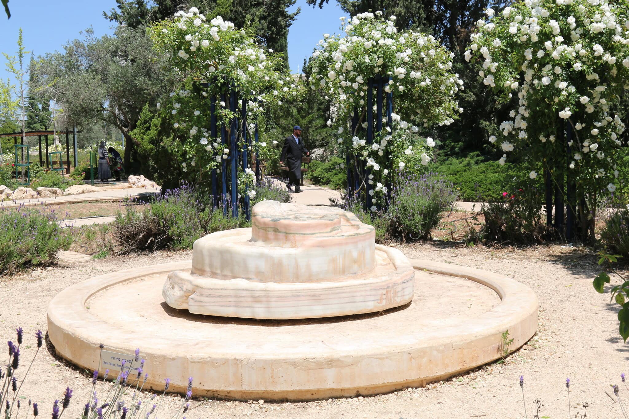 מזרקה בצורת ורד בגן וואהל לוורדים בירושלים (צילום: שמואל בר-עם)