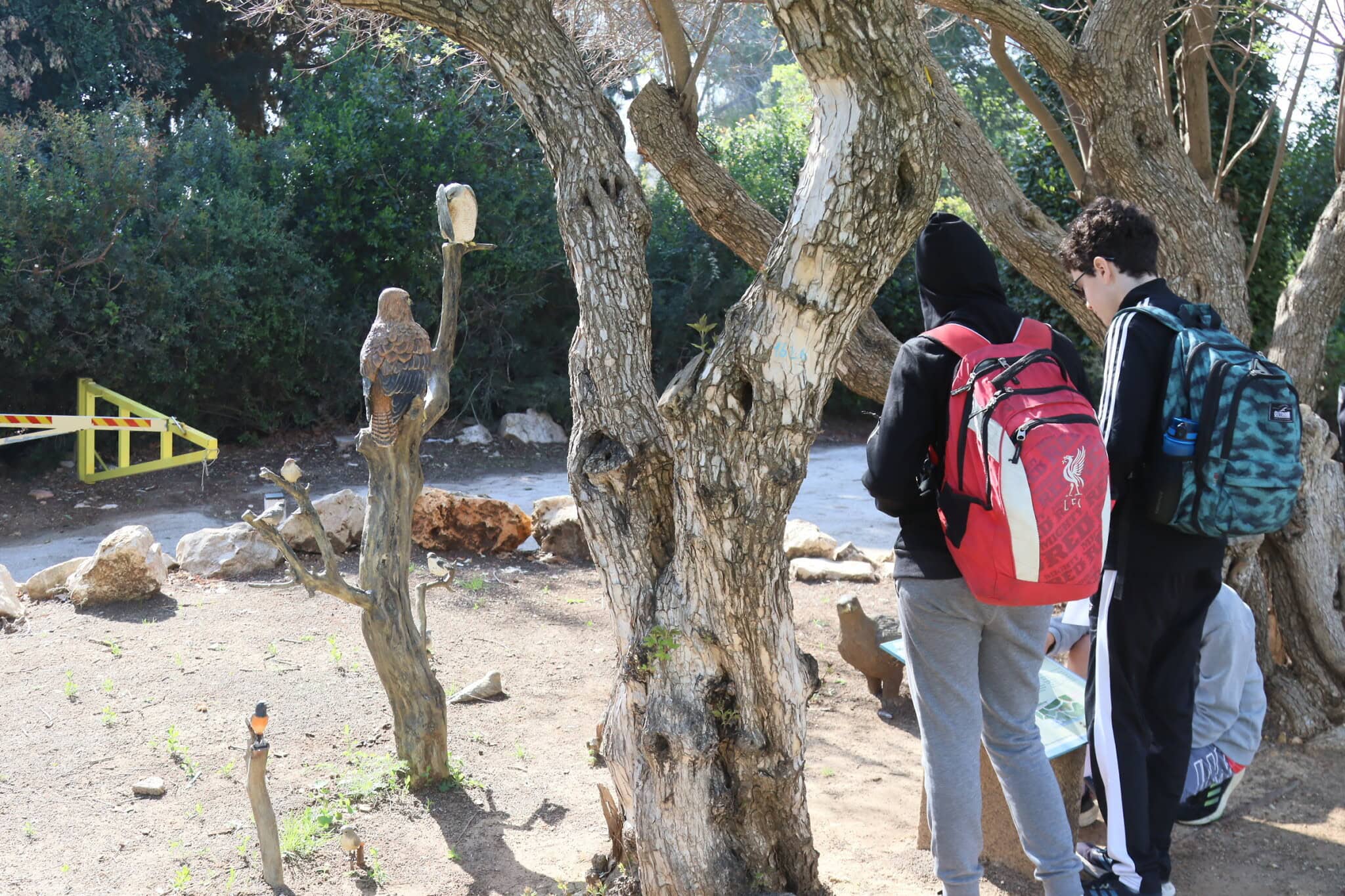 שביל הציפורים בקמפוס אדמונד י&#039; ספרא באוניברסיטה העברית בירושלים (צילום: שמואל בר-עם)