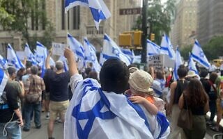 הפגנה נגד ההפיכה המשפטית בניו יורק, יולי 2023 (צילום: Gili Getz) הפגנה נגד ההפיכה המשפטית בניו יורק, יולי 2023 (צילום: Gili Getz)