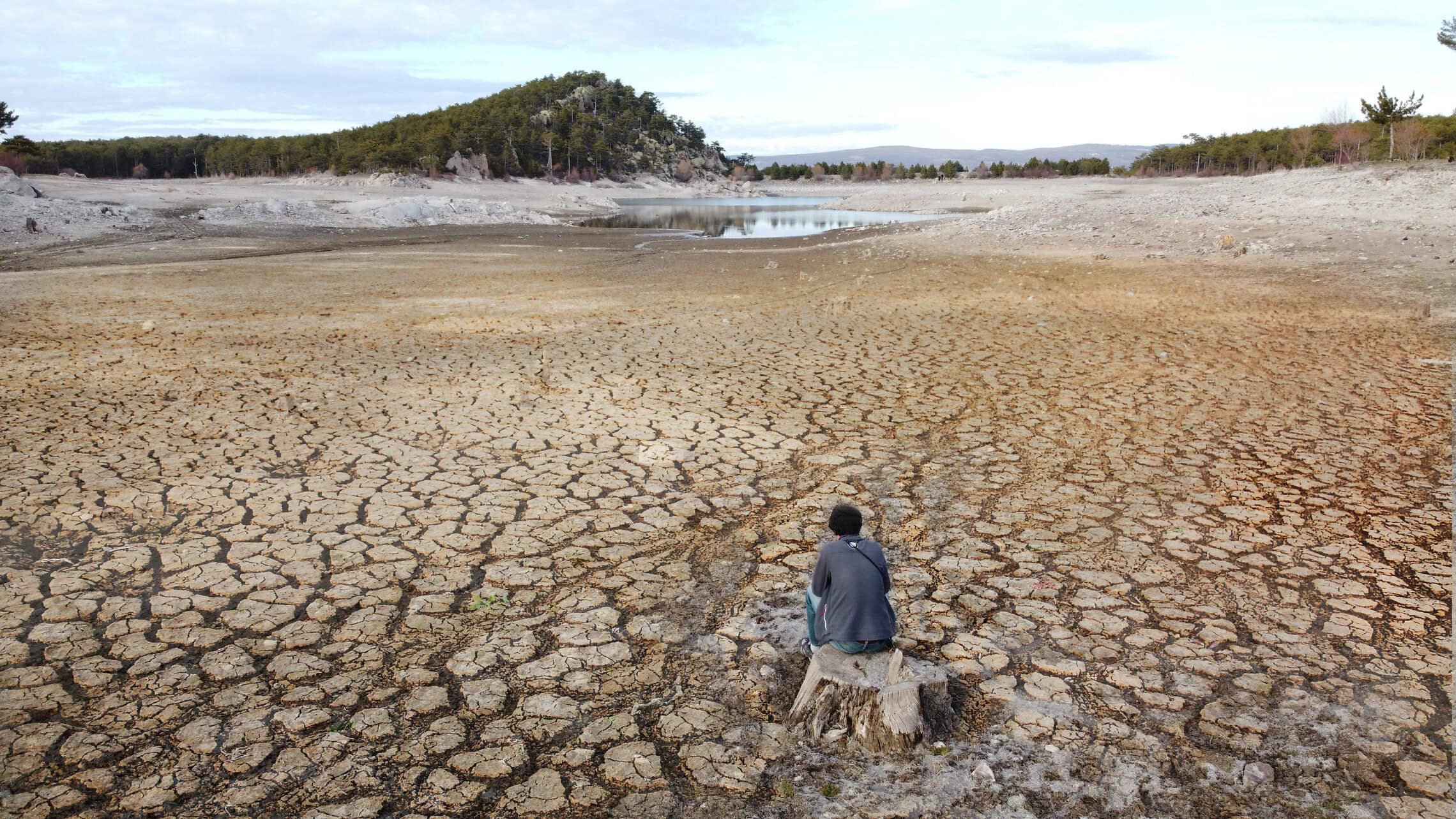משבר האקלים, אילוסטרציה (צילום: Selçuk KARABIYIK, istock)