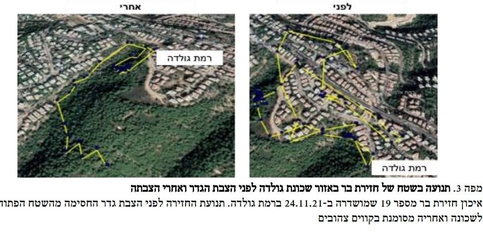 מיפוי תנועת חזירה לפני ואחרי הצבת גדר בשכונת רמת גולדה בחיפה (צילום: צילום מסך דוח רט&quot;ג)