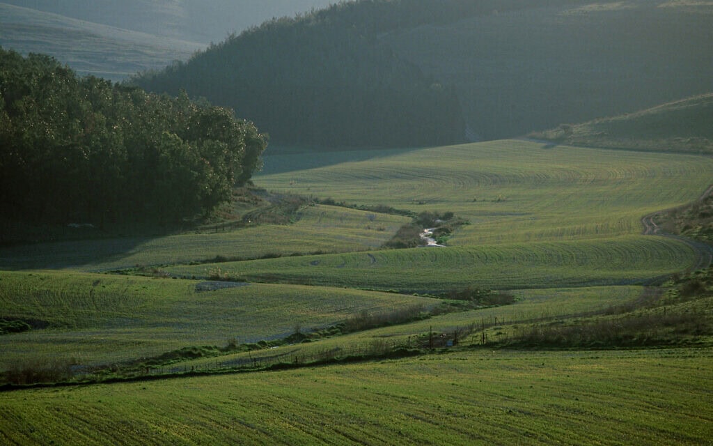 הנוף ברמת מנשה (צילום: דורון הורוביץ/פלאש90)