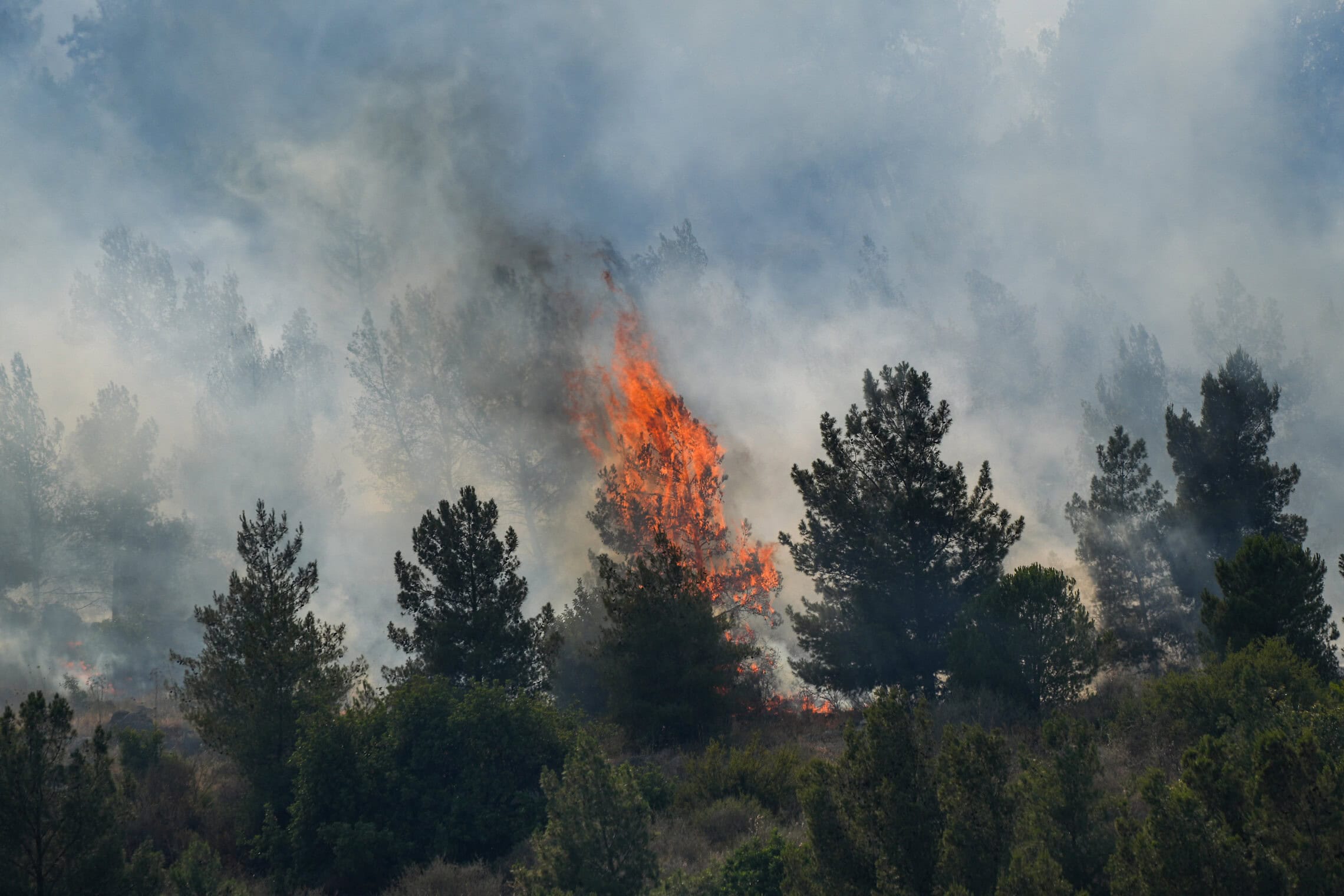 שריפה גדולה שנגרמה מרקטות שנורו מלבנון, סמוך לקרית שמונה, 3 ביוני 2024 (צילום: Ayal Margolin/Flash90)