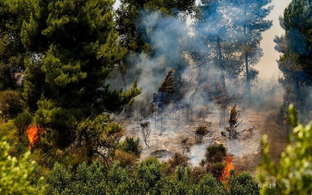 שריפה בצפון לאחר מטח רקטות של חיזבאללה. 12 ביוני 2024 (צילום: Ayal Margolin/Flash90) שריפה בצפון לאחר מטח רקטות של חיזבאללה. 12 ביוני 2024 (צילום: Ayal Margolin/Flash90)