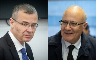 השופט יוסף אלרון, שר המשפטים יריב לוין (צילום: פלאש90, מונטז') השופט יוסף אלרון, שר המשפטים יריב לוין (צילום: פלאש90, מונטז')