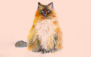 איור של החתול ויטו (צילום: נעמי ליס-מיברג)