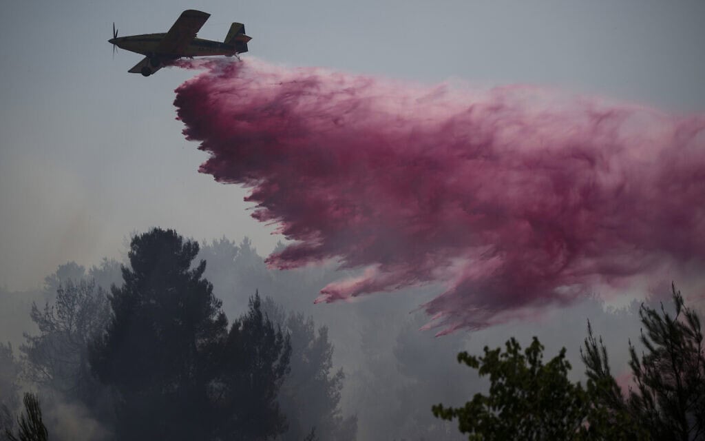 מטוס קל פועל לכבות שרפה באזור צפת, בקרבת הגבול עם לבנון, 4 ביולי 2024 (צילום: AP Photo/Leo Correa)