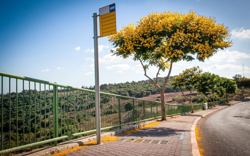 אילוסטרציה: תחנת אוטובוס בלי הצללה בהר הכרמל (צילום: ענת חרמוני/פלאש90)