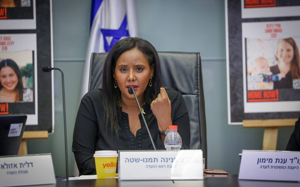 ח"כ פנינה תמנו־שטה, יו"ר הוועדה לקידום מעמד האישה, 12 באוגוסט 2024 (צילום: דוברות הכנסת/נועם מושקוביץ) ח"כ פנינה תמנו־שטה, יו"ר הוועדה לקידום מעמד האישה, 12 באוגוסט 2024 (צילום: דוברות הכנסת/נועם מושקוביץ)
