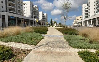 מבט על חריש (צילום: דבי לרר) מבט על חריש (צילום: דבי לרר)