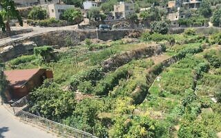החלקות במרכז העיירה בתיר (צילום: אורי ארליך) החלקות במרכז העיירה בתיר (צילום: אורי ארליך)
