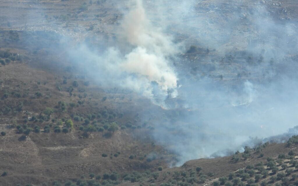 מטע זיתים סמוך לכפר בורין עולה בלהבות, 11 בספטמבר 2024 (צילום: באדיבות "יש דין") מטע זיתים סמוך לכפר בורין עולה בלהבות, 11 בספטמבר 2024 (צילום: באדיבות "יש דין")