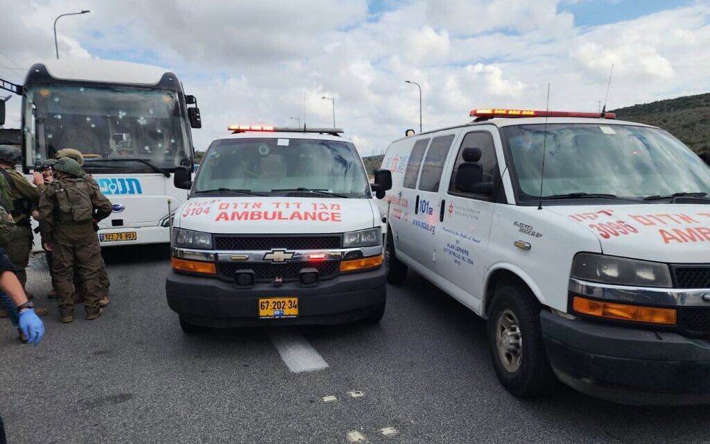 זירת פיגוע ירי סמוך לאריאל. 29 בנובמבר 2024 (צילום: תיעוד מבצעי - מד״א) זירת פיגוע ירי סמוך לאריאל. 29 בנובמבר 2024 (צילום: תיעוד מבצעי - מד״א)
