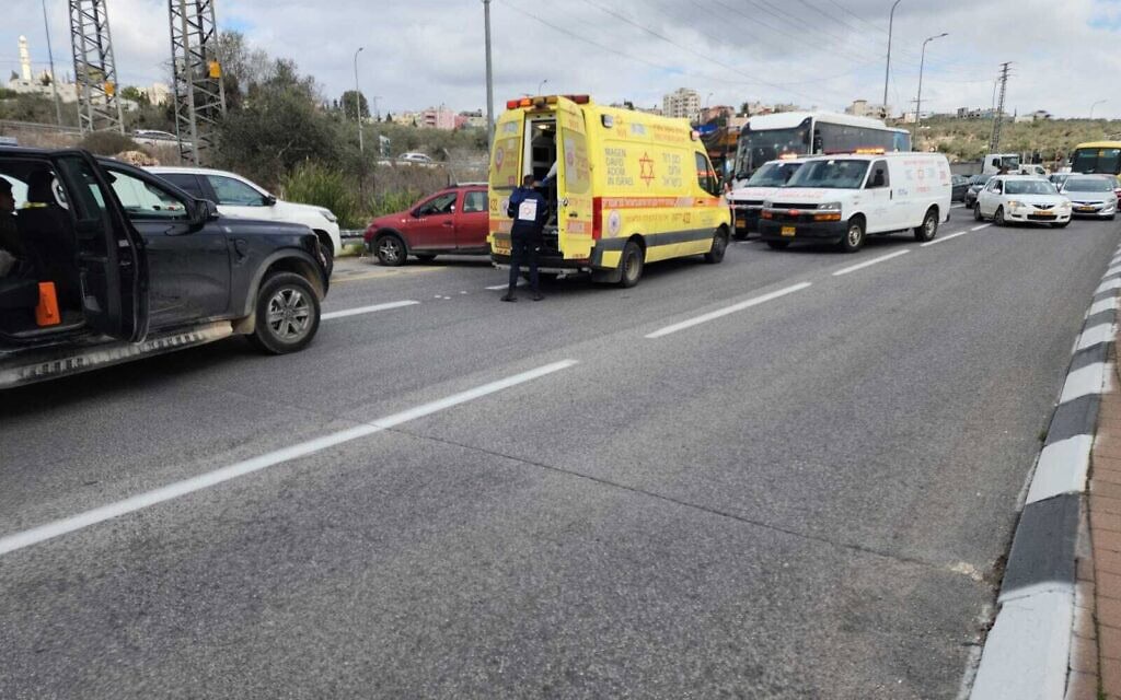 זירת פיגוע ירי סמוך לאריאל. 29 בנובמבר 2024 (צילום: מד״א) זירת פיגוע ירי סמוך לאריאל. 29 בנובמבר 2024 (צילום: מד״א)