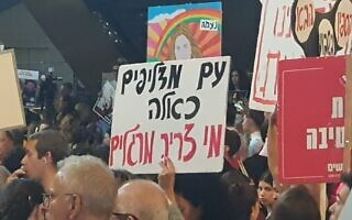הפגנה נגד הממשלה בתל אביב, נובמבר 2024 (צילום: איתי לנדסברג נבו) הפגנה נגד הממשלה בתל אביב, נובמבר 2024 (צילום: איתי לנדסברג נבו)