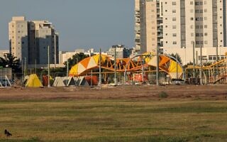 מתחם האריה באקו־פארק אשקלון, דצמבר 2024 מתחם האריה באקו־פארק אשקלון, דצמבר 2024