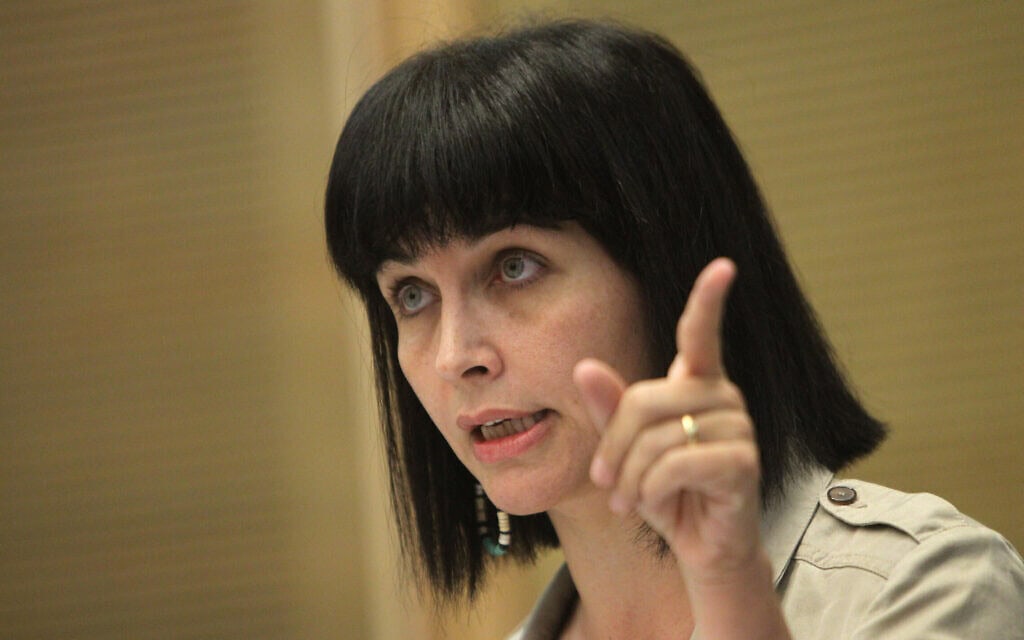 עינת וילף בכנסת, 5 בנובמבר 2012 (צילום: מרים אלסטר/פלאש90) עינת וילף בכנסת, 5 בנובמבר 2012 (צילום: מרים אלסטר/פלאש90)