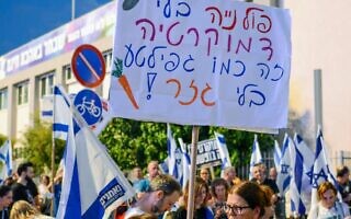 שלט נגד הרפורמה המשפטית (צילום: אלון קורנגרין) שלט נגד הרפורמה המשפטית (צילום: אלון קורנגרין)