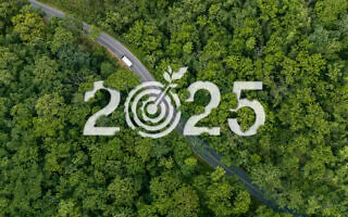 2025 שנה ירוקה. אילוסטרציה (צילום: Sakorn Sukkasemsakorn/iStock) 2025 שנה ירוקה. אילוסטרציה (צילום: Sakorn Sukkasemsakorn/iStock)