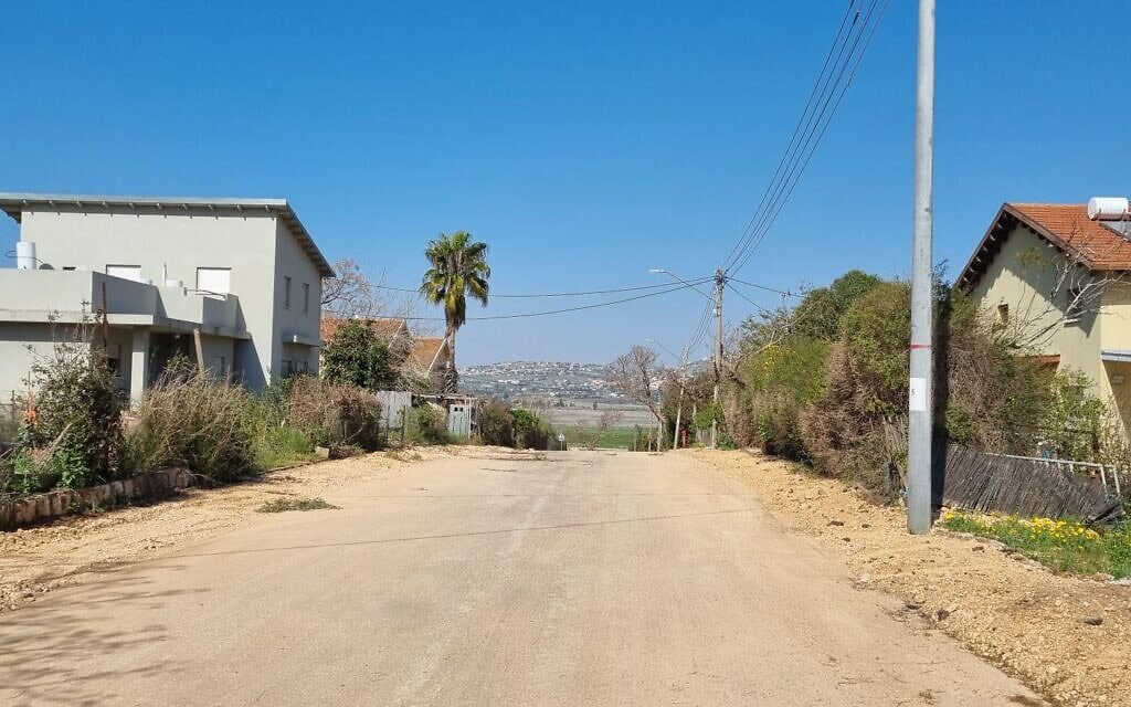 מטולה, מרץ 2025 (צילום: תני גולדשטיין) מטולה, מרץ 2025 (צילום: תני גולדשטיין)