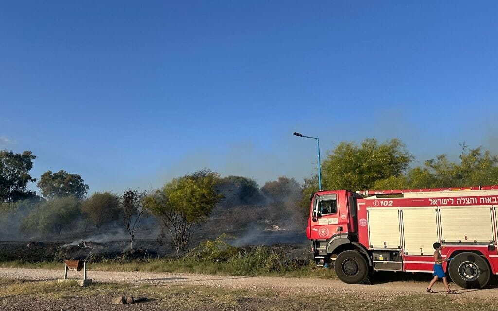 שרפה פרצה בשטח פתוח בכינרת, סמוך לחוף דוגית, 2 במאי 2025 (צילום: כב״ה צפון) שרפה פרצה בשטח פתוח בכינרת, סמוך לחוף דוגית, 2 במאי 2025 (צילום: כב״ה צפון)