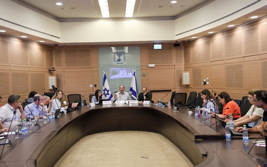 ישיבת ועדת החוקה, חוק ומשפט, 10 ביוני 2025 (צילום: דני שם טוב, דוברות הכנסת) ישיבת ועדת החוקה, חוק ומשפט, 10 ביוני 2025 (צילום: דני שם טוב, דוברות הכנסת)