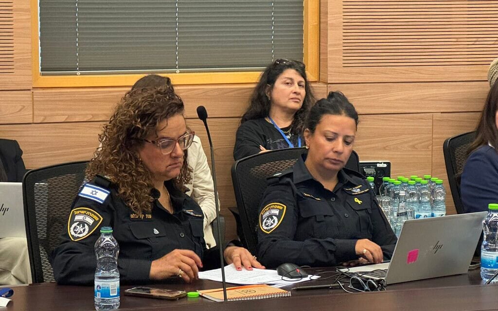 ישיבה משותפת של הוועדה לקידום מעמד האישה והוועדה המיוחדת לענייני צעירים בנושא הפגיעות המיניות הטקסיות, 3 ביוני 2025 (צילום: דוברות הכנסת) ישיבה משותפת של הוועדה לקידום מעמד האישה והוועדה המיוחדת לענייני צעירים בנושא הפגיעות המיניות הטקסיות, 3 ביוני 2025 (צילום: דוברות הכנסת)