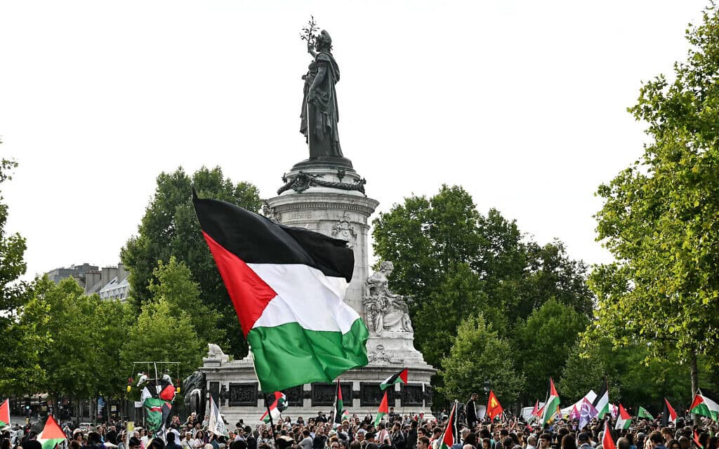 דגל פלסטין נישא בהפגנה פרו-פלסטינית בפריז, צרפת, 29 ביולי 2025 (צילום: Bertrand GUAY / AFP)